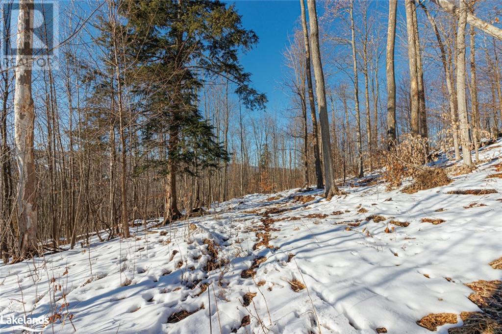 Part Lot 25 Grey Road 30, Grey Highlands, Ontario  N0C 1H0 - Photo 34 - 40534440