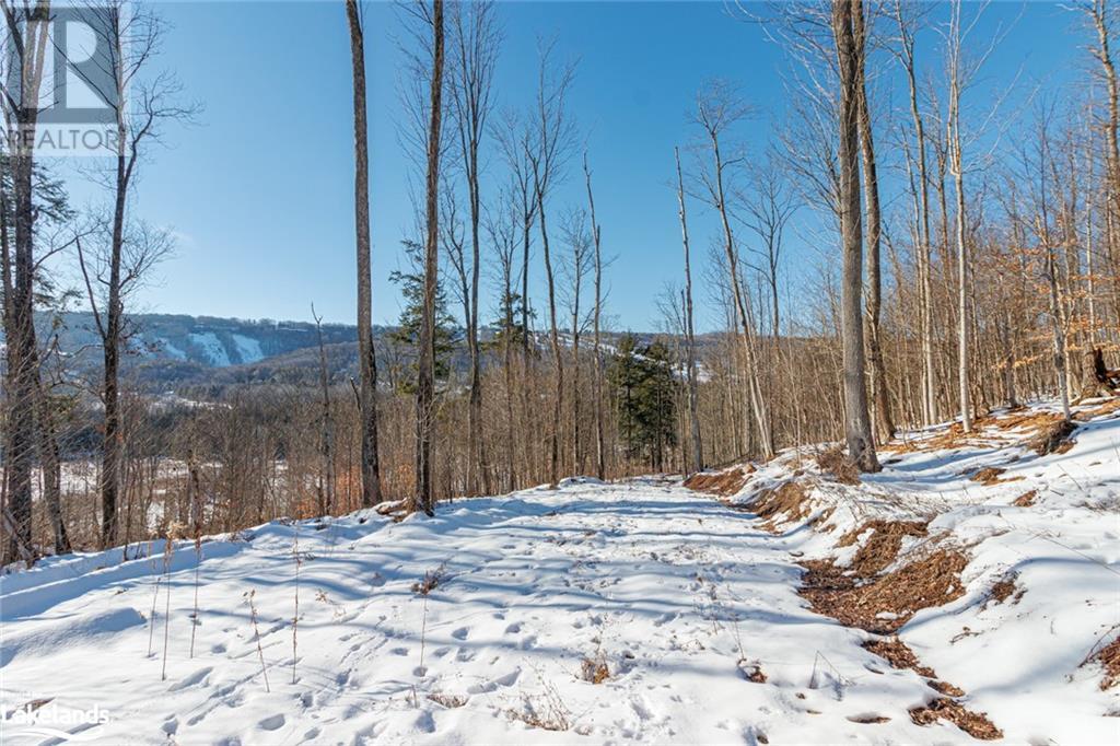 Part Lot 25 Grey Road 30, Grey Highlands, Ontario  N0C 1H0 - Photo 36 - 40534440