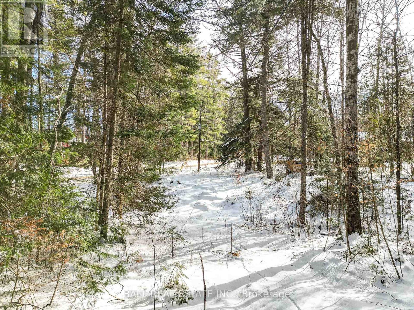 0 Part Lot 8 Con 3 S, Madawaska Valley, Ontario K0L 1L0 - Photo 14 - X8048732