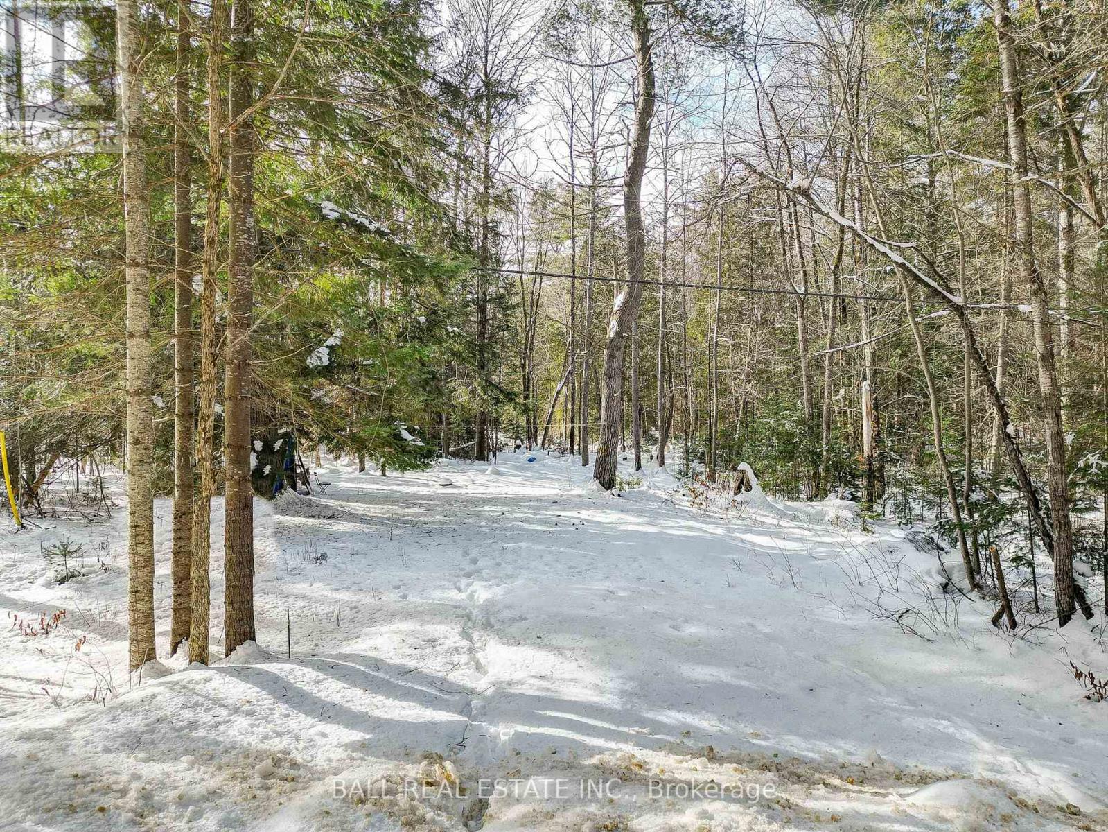 0 Part Lot 8 Con 3  S, Madawaska Valley, Ontario  K0L 1L0 - Photo 16 - X8048732