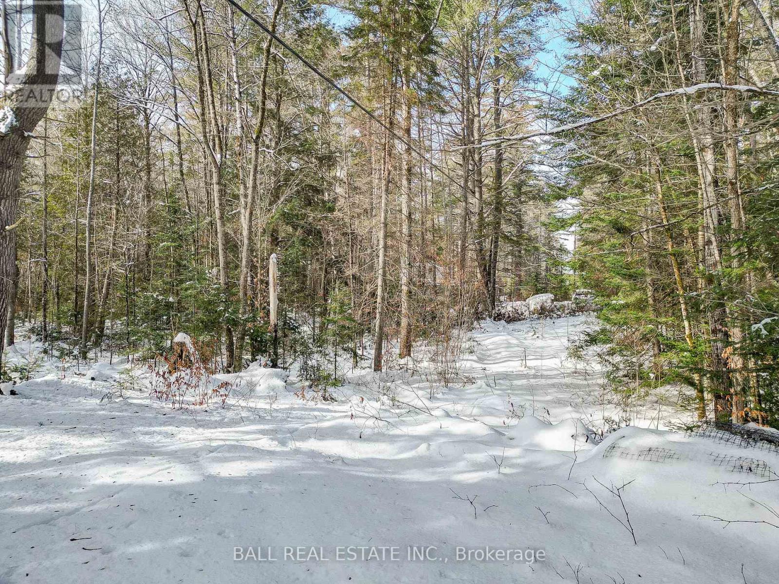 0 Part Lot 8 Con 3 S, Madawaska Valley, Ontario K0L 1L0 - Photo 21 - X8048732