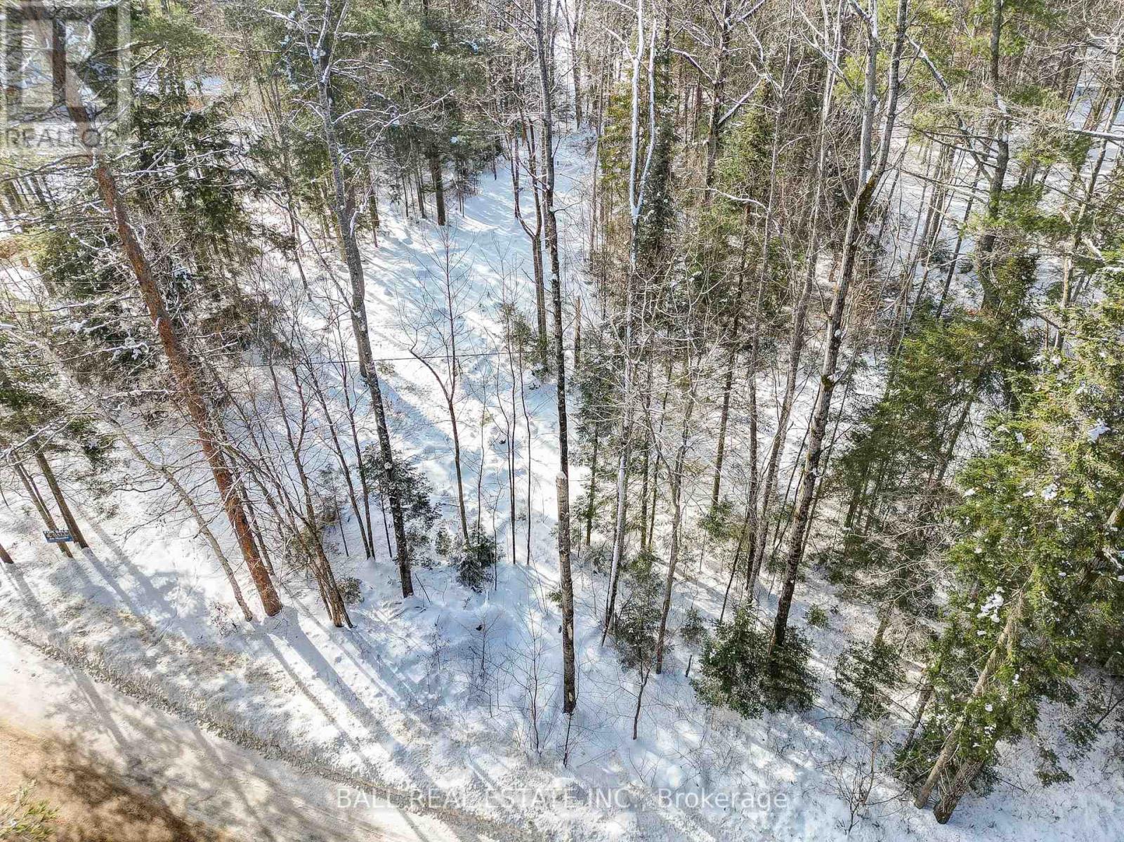 0 Part Lot 8 Con 3 S, Madawaska Valley, Ontario K0L 1L0 - Photo 25 - X8048732