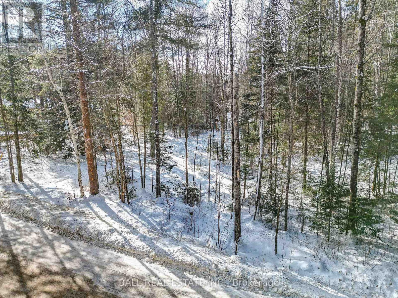 0 Part Lot 8 Con 3  S, Madawaska Valley, Ontario  K0L 1L0 - Photo 28 - X8048732