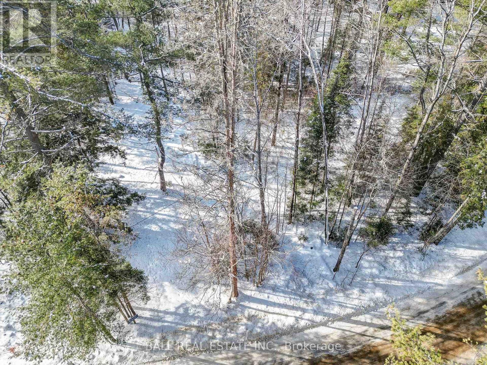 0 Part Lot 8 Con 3 S, Madawaska Valley, Ontario K0L 1L0 - Photo 5 - X8048732