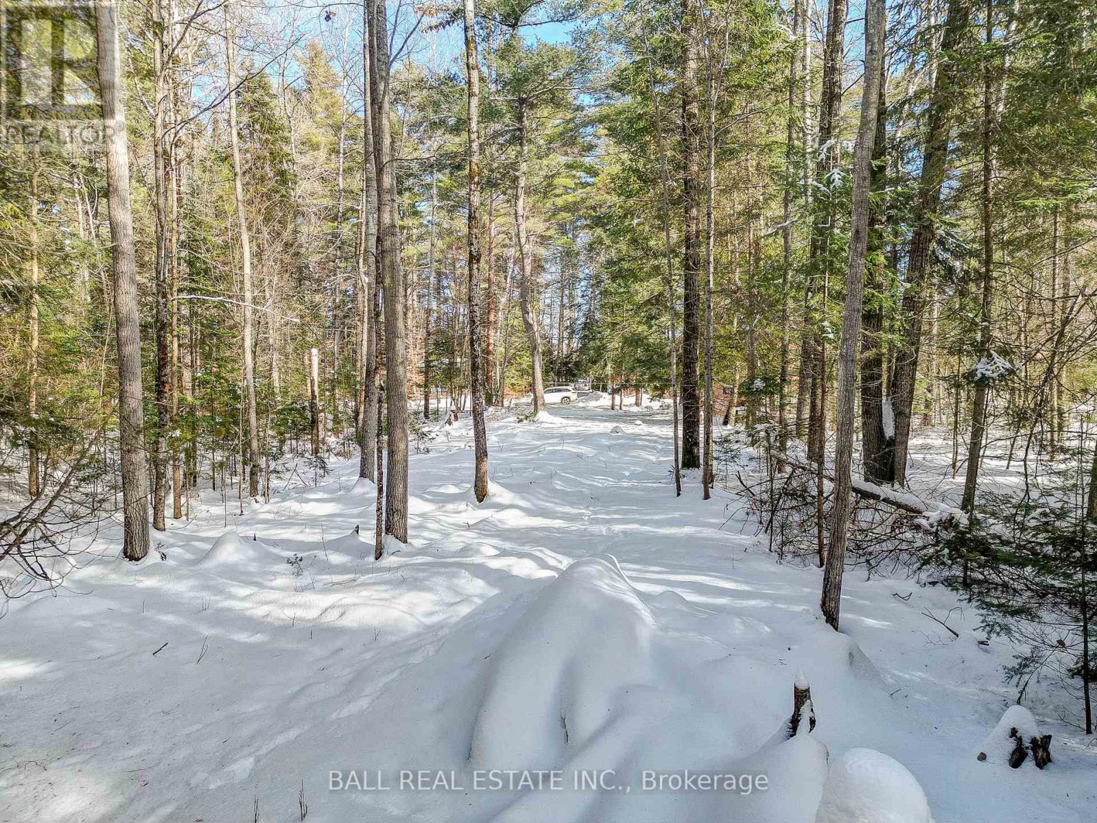 0 Part Lot 8 Con 3 S, Madawaska Valley, Ontario K0L 1L0 - Photo 6 - X8048732