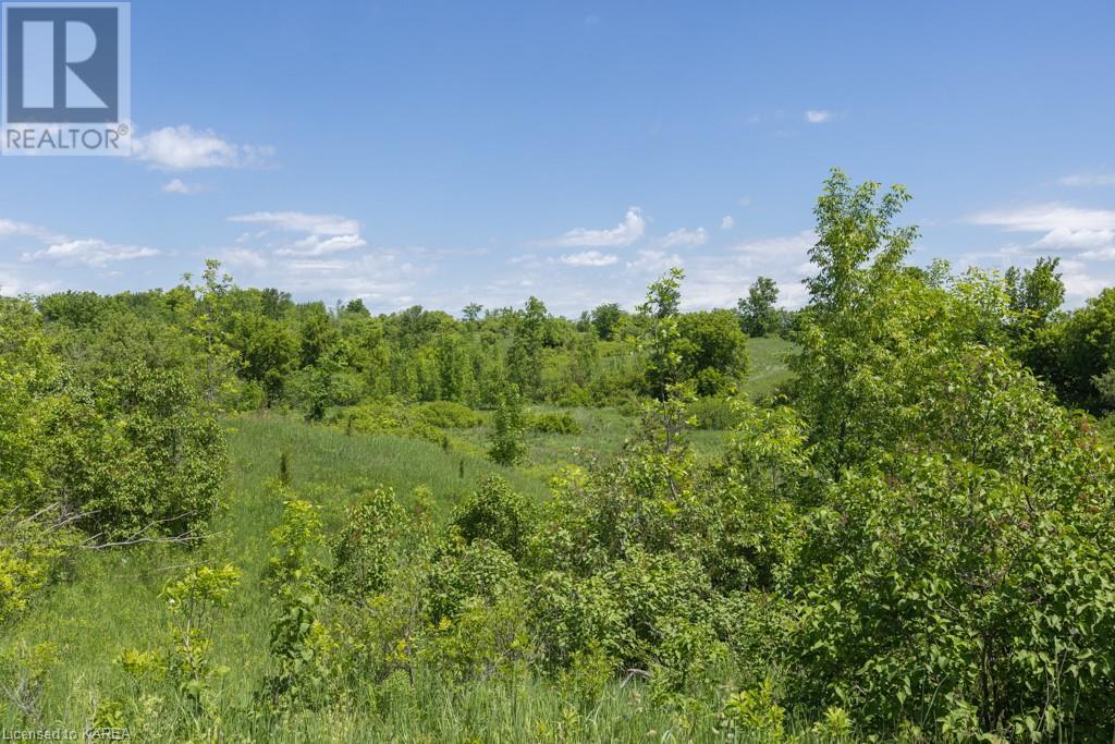 Near 180 Gilmore Road, Tamworth, Ontario  K0K 3G0 - Photo 10 - 40537342