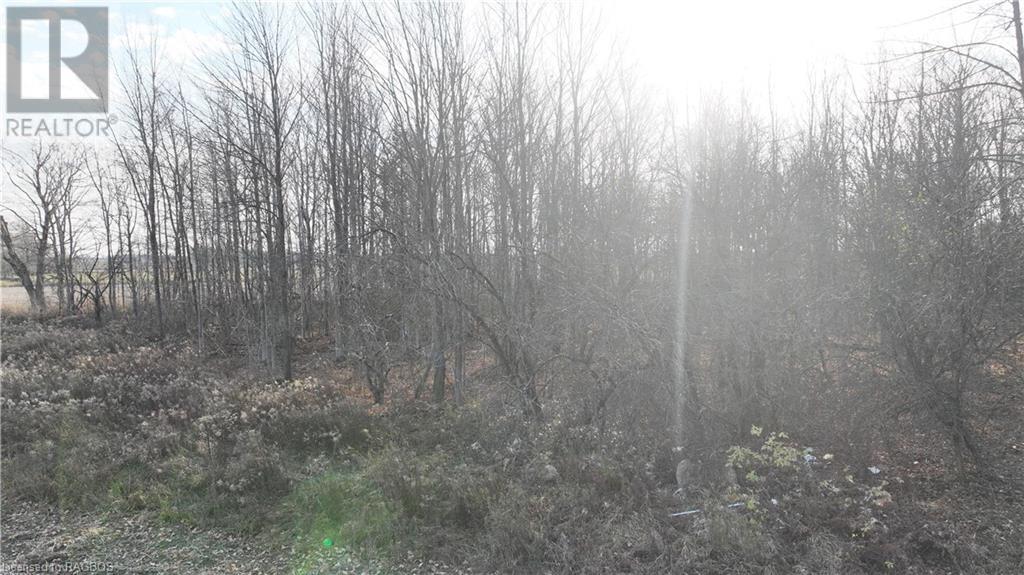 1185 6 Highway, South Bruce Peninsula, Ontario  N0H 2T0 - Photo 10 - 40535644