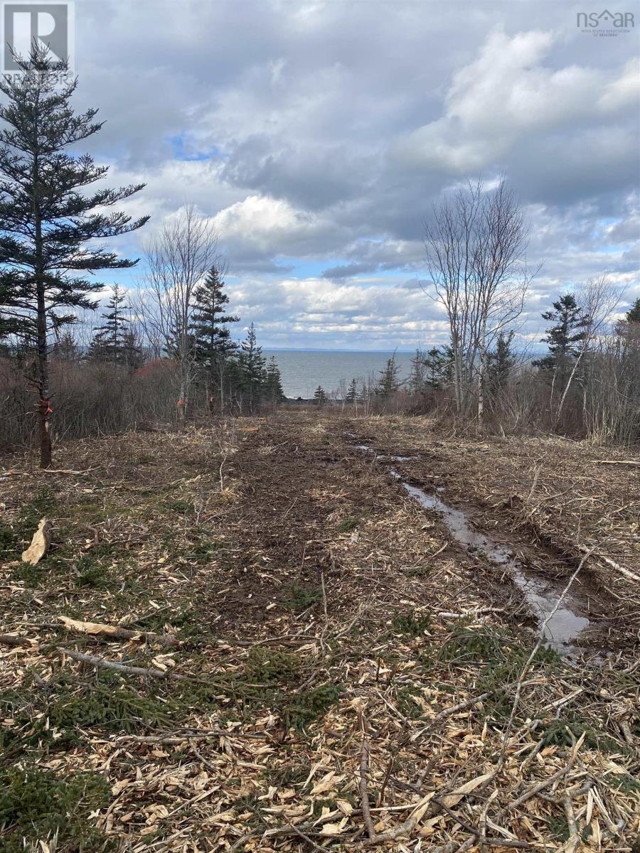 Lot 1 7501 Shore Road West, Phinneys Cove, Nova Scotia  B0S 1L0 - Photo 16 - 202402355