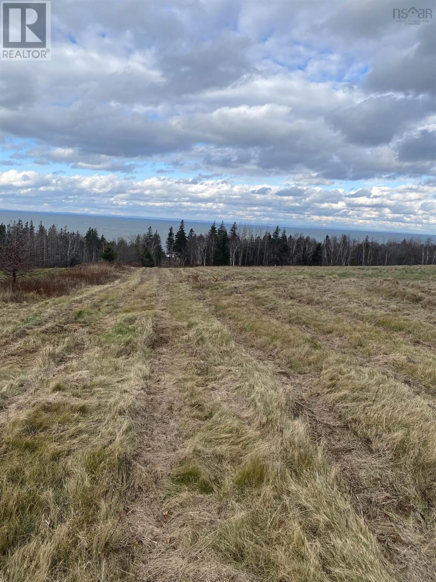 Lot 1 7501 Shore Road West, Phinneys Cove, Nova Scotia  B0S 1L0 - Photo 7 - 202402355