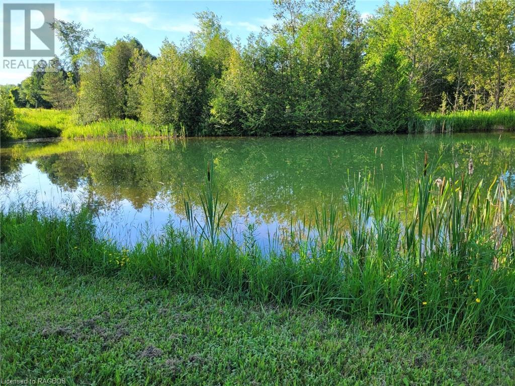 243294 Southgate Road 24, Southgate, Ontario  N0G 1R0 - Photo 39 - 40534548