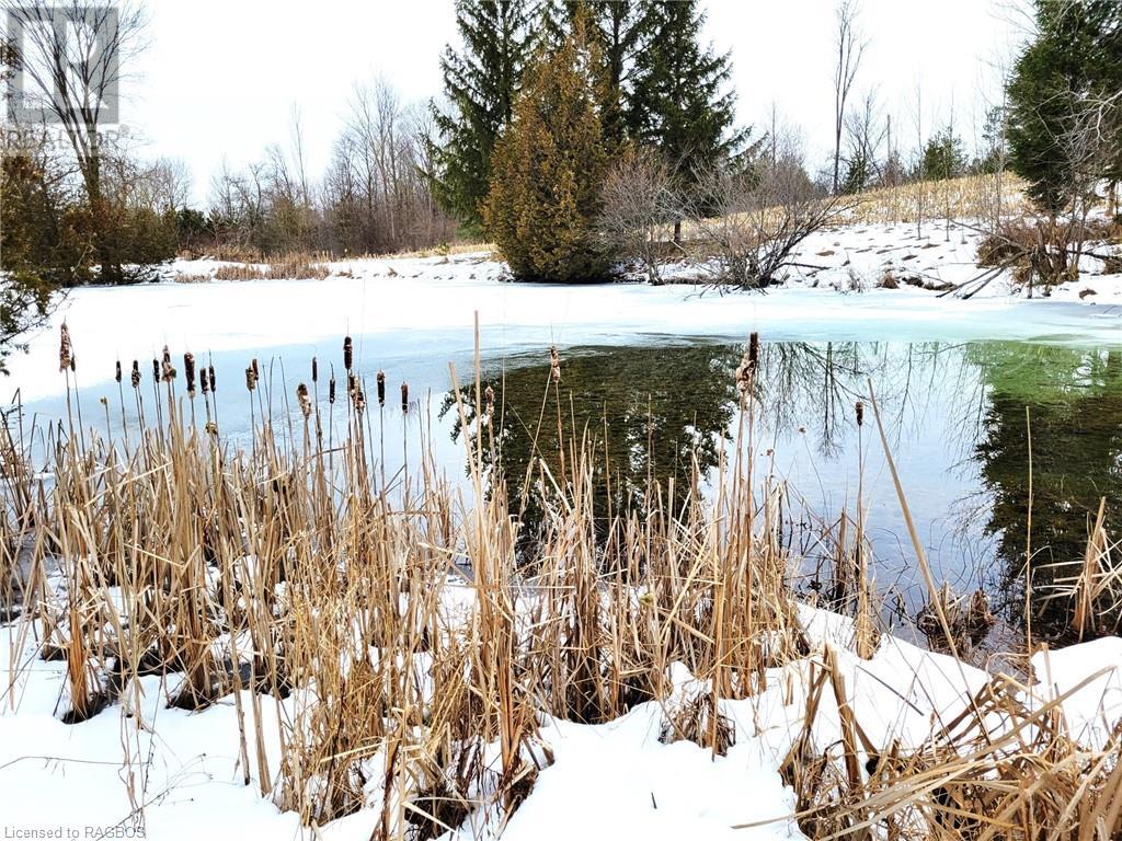 243294 Southgate Road 24, Southgate, Ontario  N0G 1R0 - Photo 44 - 40534548