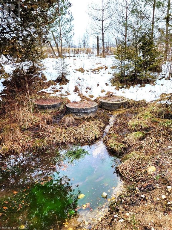 243294 Southgate Road 24, Southgate, Ontario  N0G 1R0 - Photo 45 - 40534548