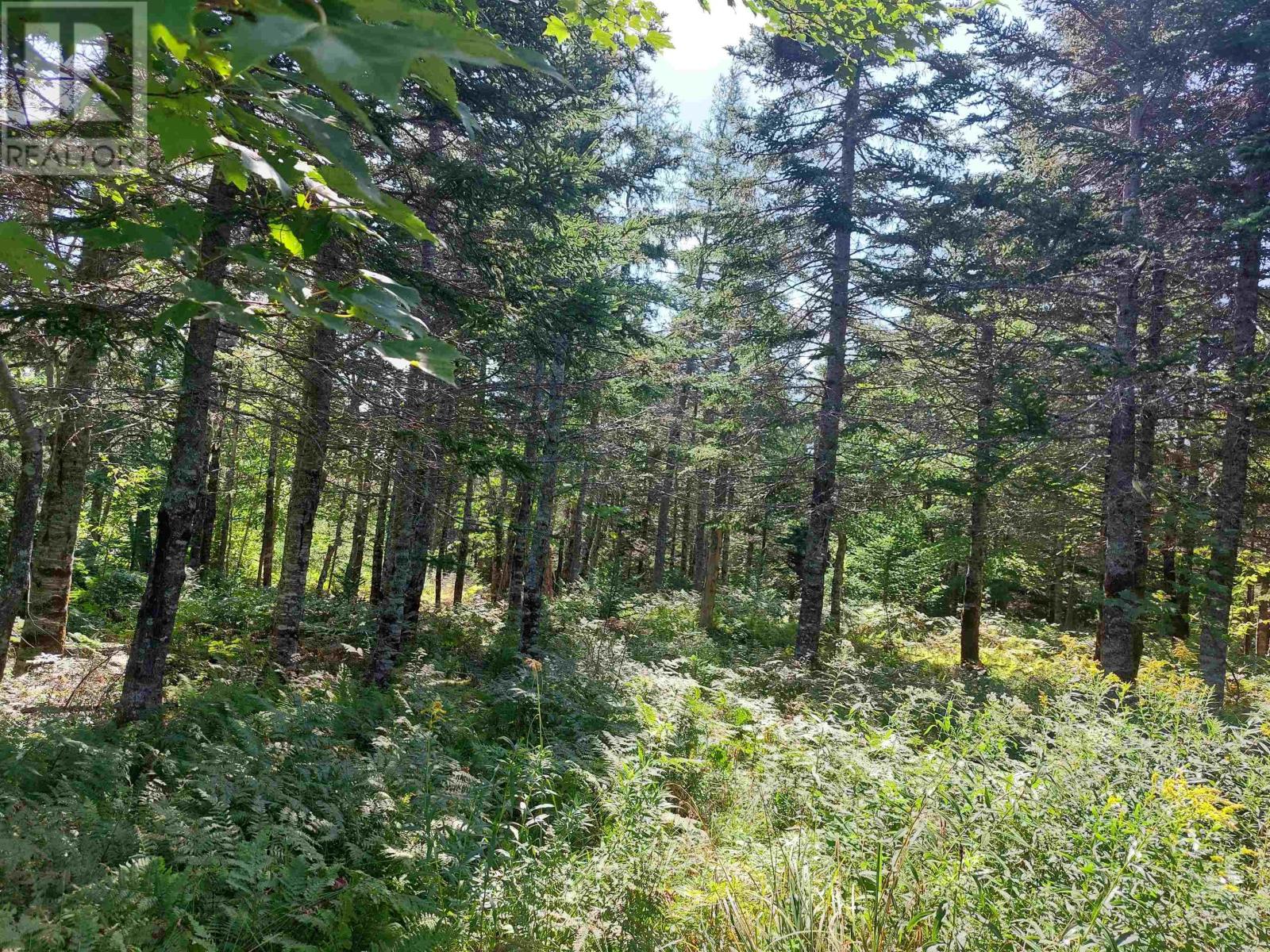 Lot 6 Hill St., French Cove, Nova Scotia  B0E 3B0 - Photo 5 - 202402370