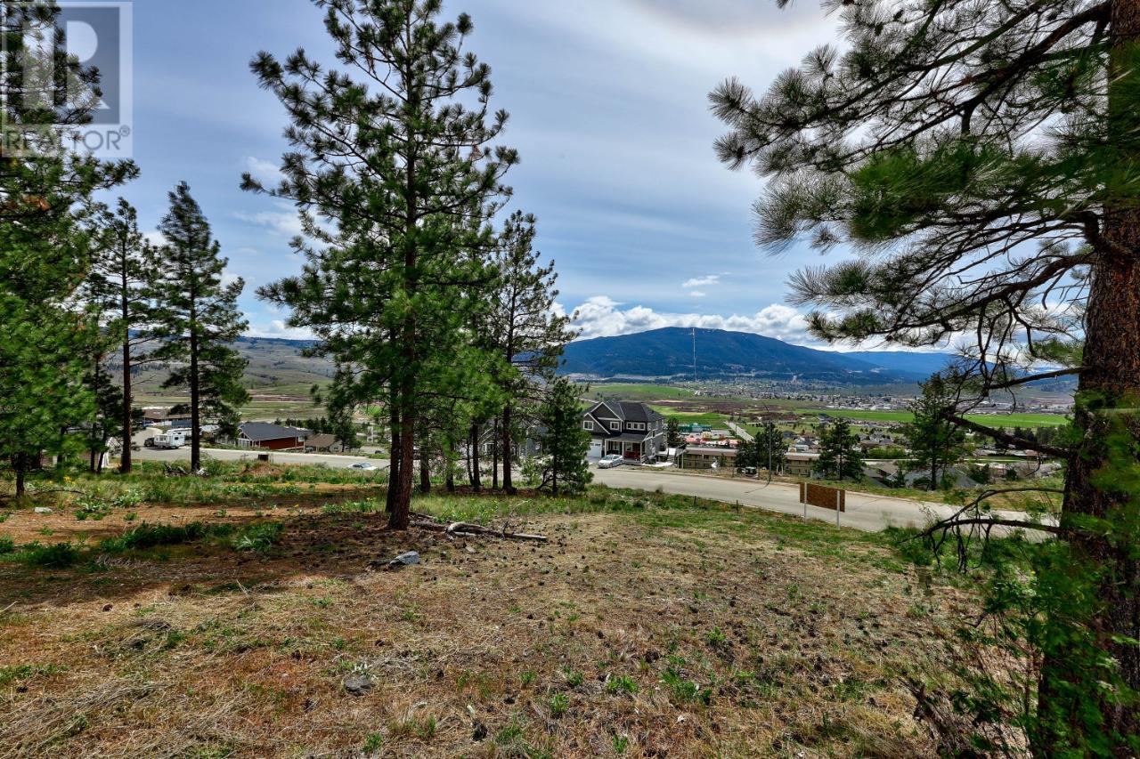 2725 Eagle Cres, Merritt, British Columbia   - Photo 7 - 176650
