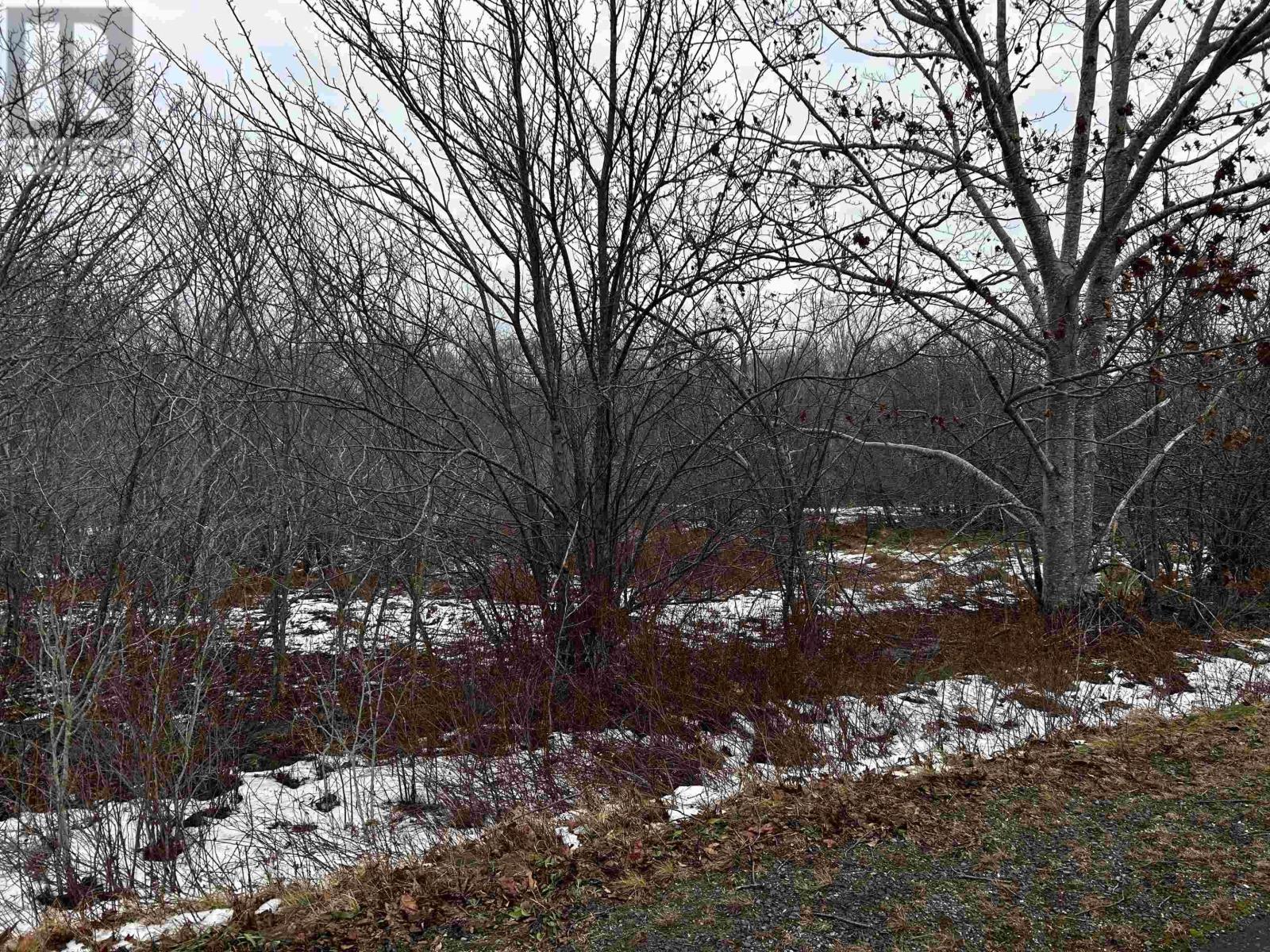 Lot Weymouth Falls Road, Weymouth Falls, Nova Scotia  B0W 3T0 - Photo 12 - 202402412