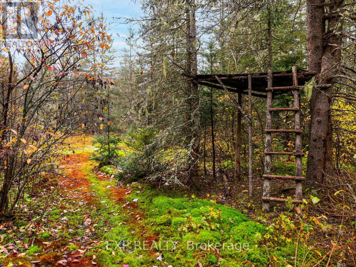 1153 Riding Ranch Rd, Parry Sound, Ontario  P0A 1X0 - Photo 12 - X8056086