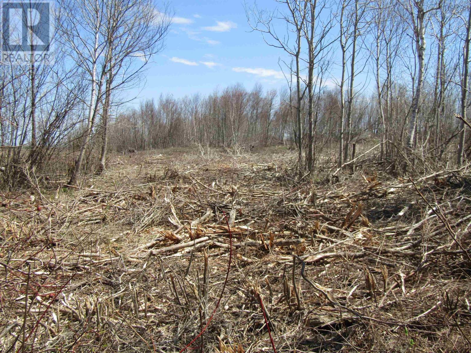 Lot 2 Highway 215, Noel, Nova Scotia  B0N 2C0 - Photo 17 - 202402454