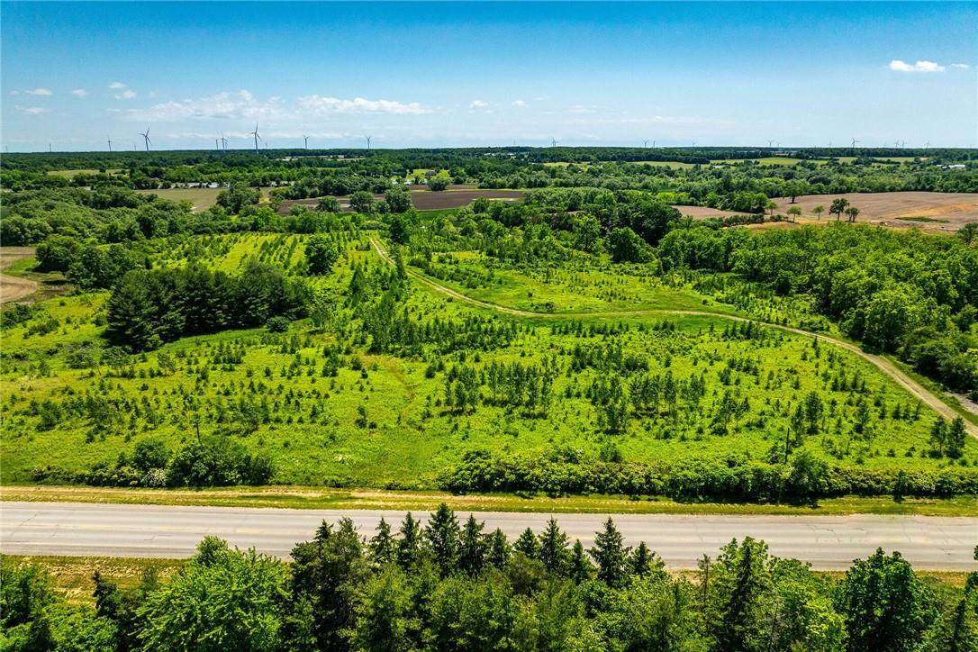 Na #17 Haldimand Road, Cayuga, Ontario  N0A 1E0 - Photo 4 - H4184751