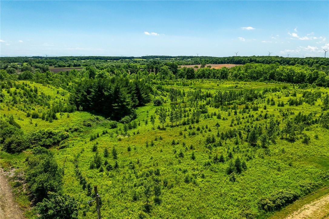 Na #17 Haldimand Road, Cayuga, Ontario  N0A 1E0 - Photo 6 - H4184751