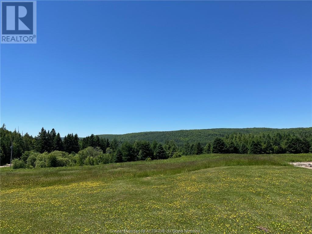414 Hillside Dr, Elgin, New Brunswick  E4Z 1X1 - Photo 30 - M157305