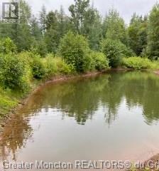 414 Hillside Dr, Elgin, New Brunswick  E4Z 1X1 - Photo 33 - M157305