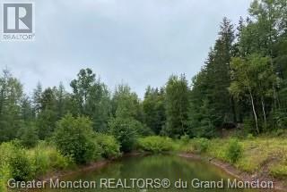 414 Hillside Dr, Elgin, New Brunswick  E4Z 1X1 - Photo 35 - M157305