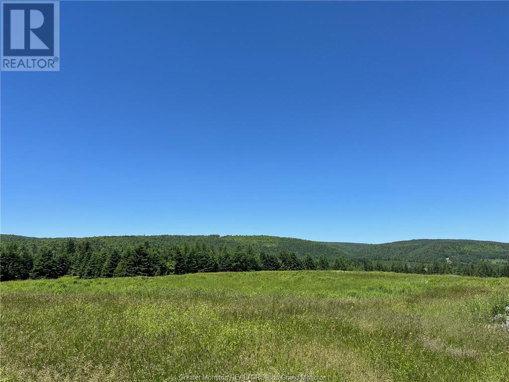 414 Hillside Dr, Elgin, New Brunswick  E4Z 1X1 - Photo 38 - M157305