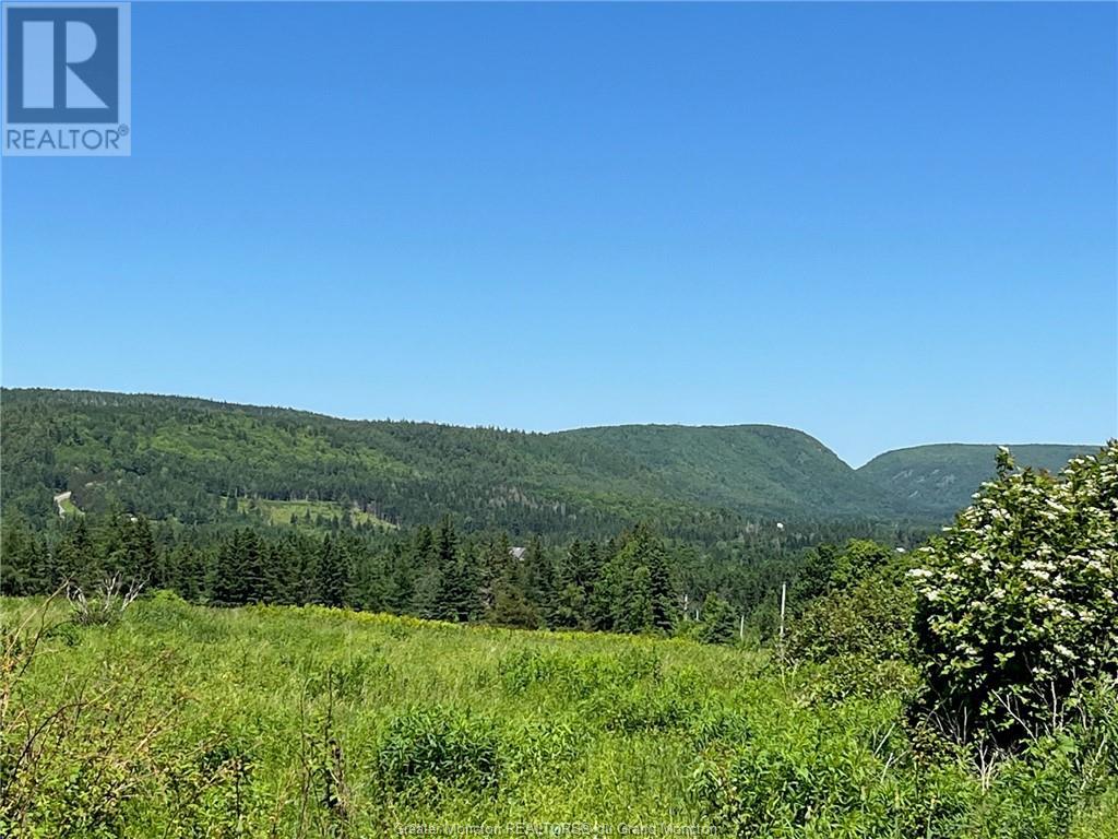 414 Hillside Dr, Elgin, New Brunswick  E4Z 1X1 - Photo 31 - M157305