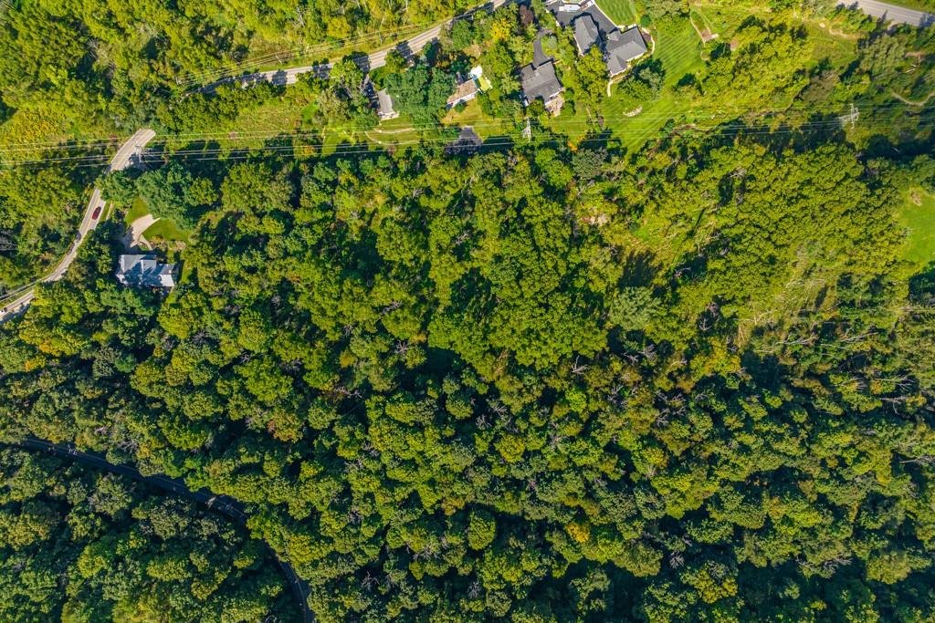 704 Old Dundas Road, Hamilton, Ontario  L9H 5E3 - Photo 50 - H4185062