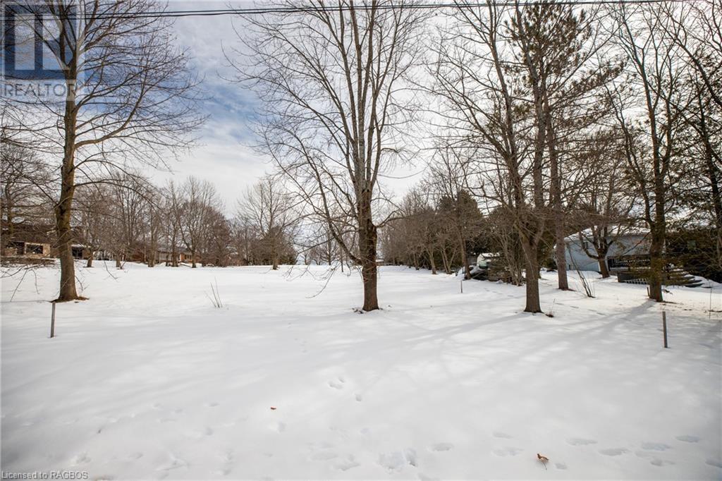 97/99 Victoria Avenue, Markdale, Ontario  N0H 1H0 - Photo 8 - 40537007