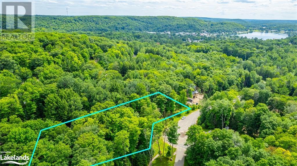0 Lakeview Street, Haliburton, Ontario  K0M 1S0 - Photo 1 - 40538935