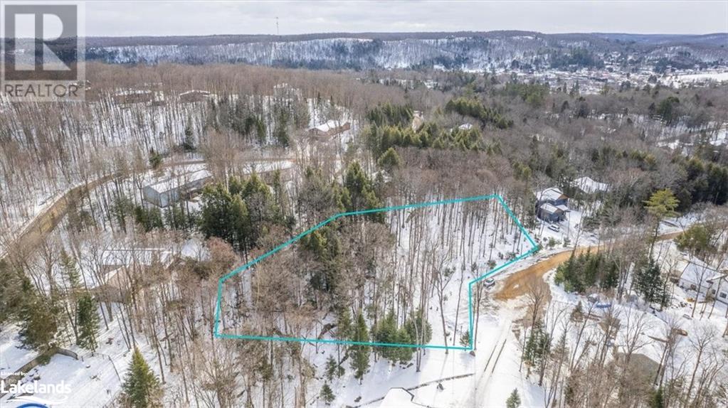 0 Lakeview Street, Haliburton, Ontario  K0M 1S0 - Photo 12 - 40538935