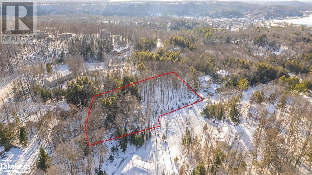 0 Lakeview Street, Haliburton, Ontario  K0M 1S0 - Photo 13 - 40538935