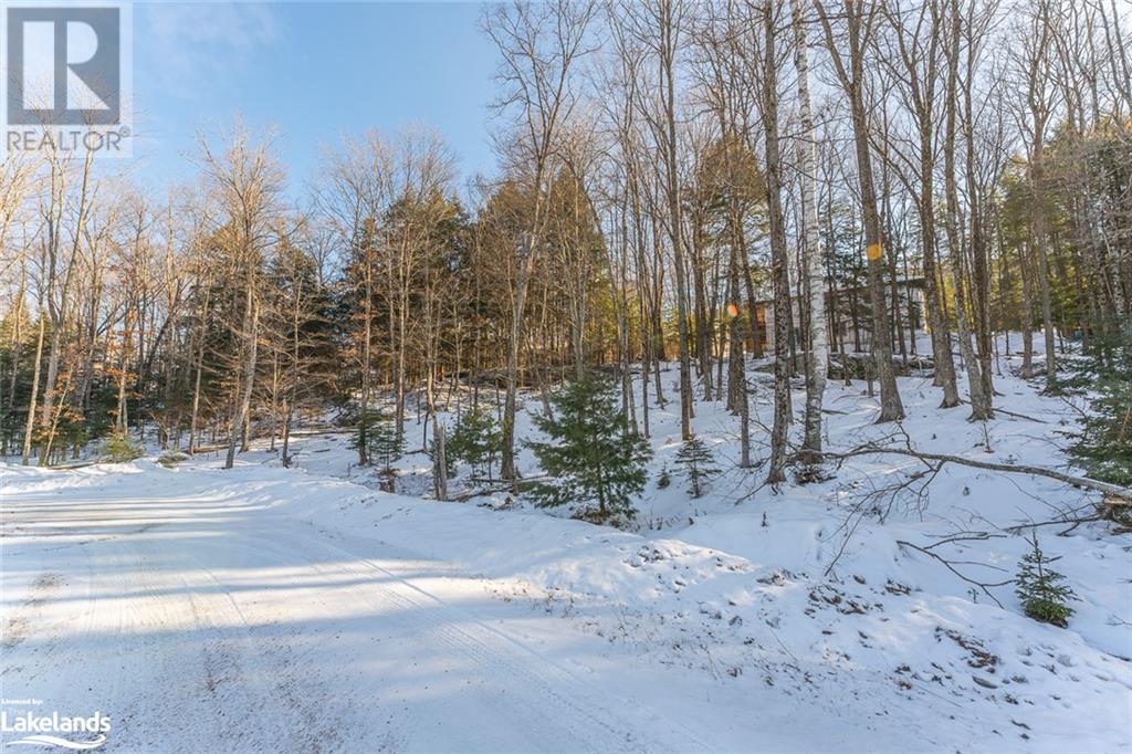 0 Lakeview Street, Haliburton, Ontario  K0M 1S0 - Photo 19 - 40538935