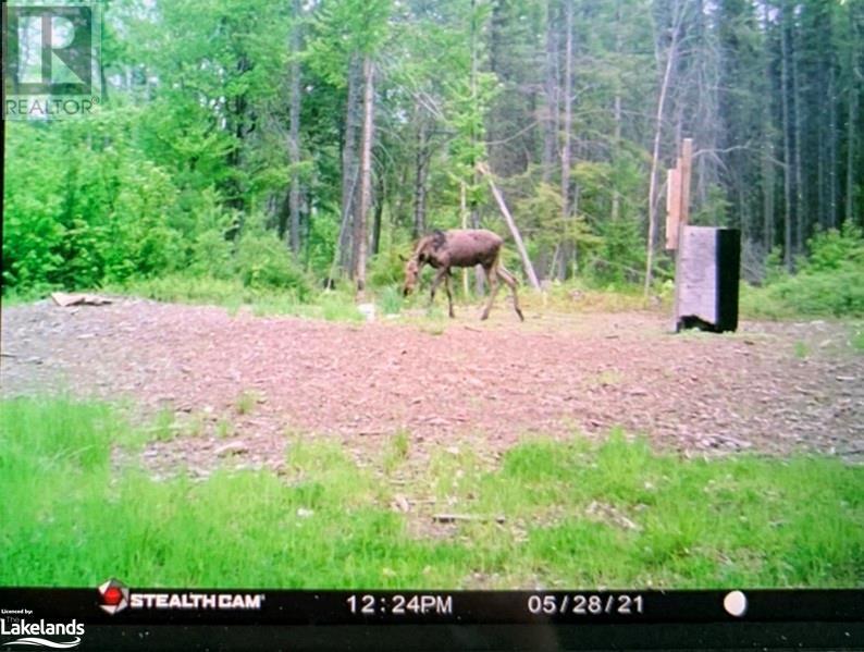 0 Haliburton Lake Road, Haliburton, Ontario  K0M 1S0 - Photo 21 - 40539486