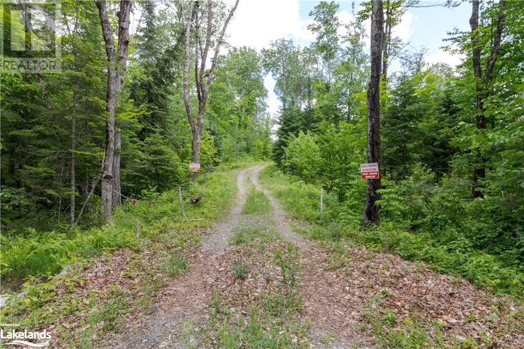 0 Haliburton Lake Road, Haliburton, Ontario  K0M 1S0 - Photo 36 - 40539486