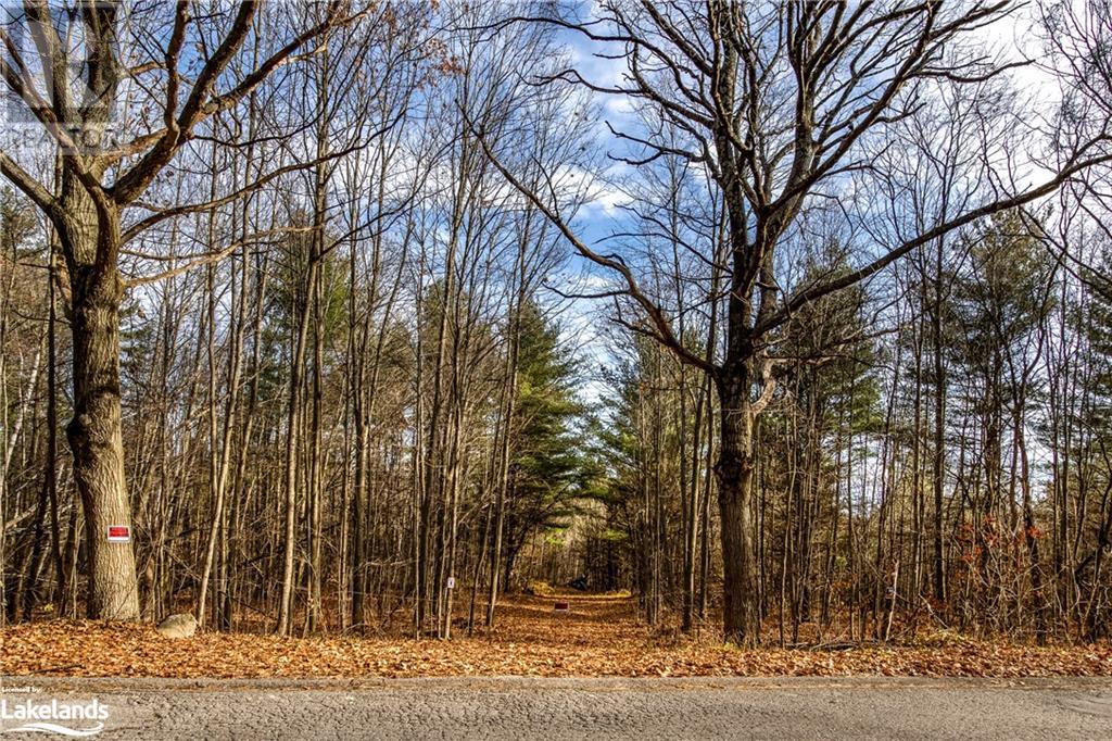 364 Champlain Road, Penetanguishene, Ontario  L9M 1S4 - Photo 10 - 40531333