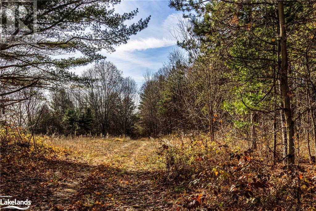364 Champlain Road, Penetanguishene, Ontario  L9M 1S4 - Photo 13 - 40531333