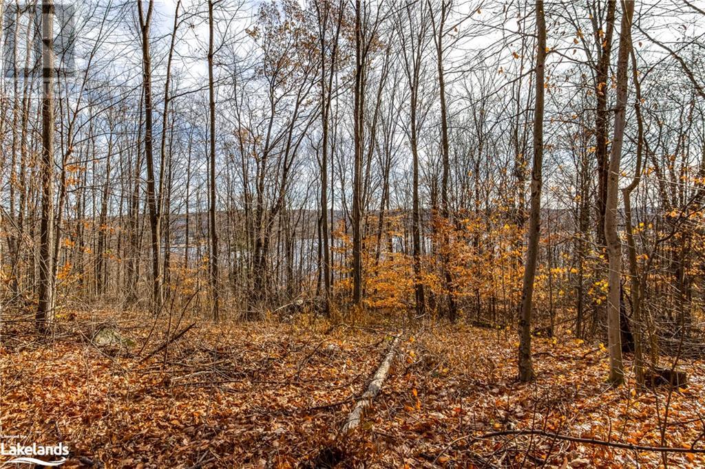 364 Champlain Road, Penetanguishene, Ontario  L9M 1S4 - Photo 14 - 40531333