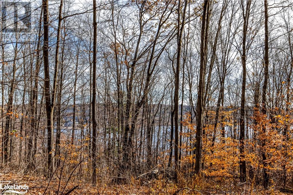 364 Champlain Road, Penetanguishene, Ontario  L9M 1S4 - Photo 15 - 40531333