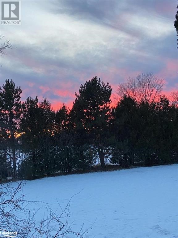 50 Wilson Road W, Tiny, Ontario  L4R 0E3 - Photo 36 - 40518278