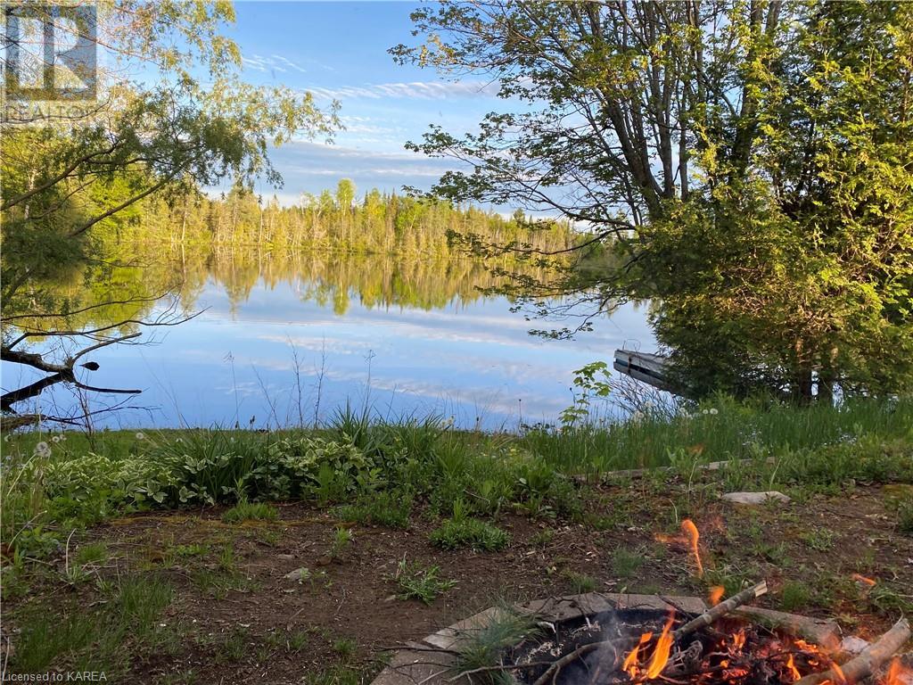 1016 Jewel Road, Cloyne, Ontario  K0H 1K0 - Photo 39 - 40539522