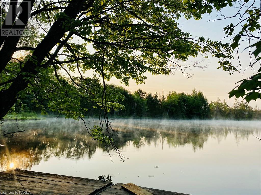 1016 Jewel Road, Cloyne, Ontario  K0H 1K0 - Photo 3 - 40539522