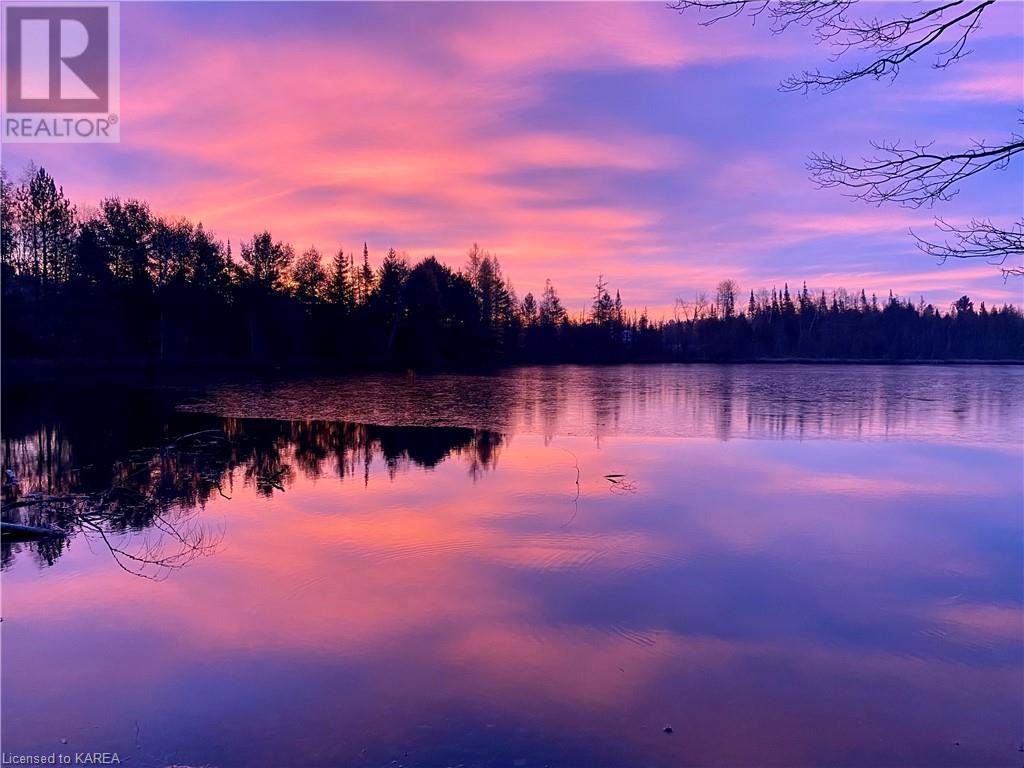 1016 Jewel Road, Cloyne, Ontario  K0H 1K0 - Photo 2 - 40539522