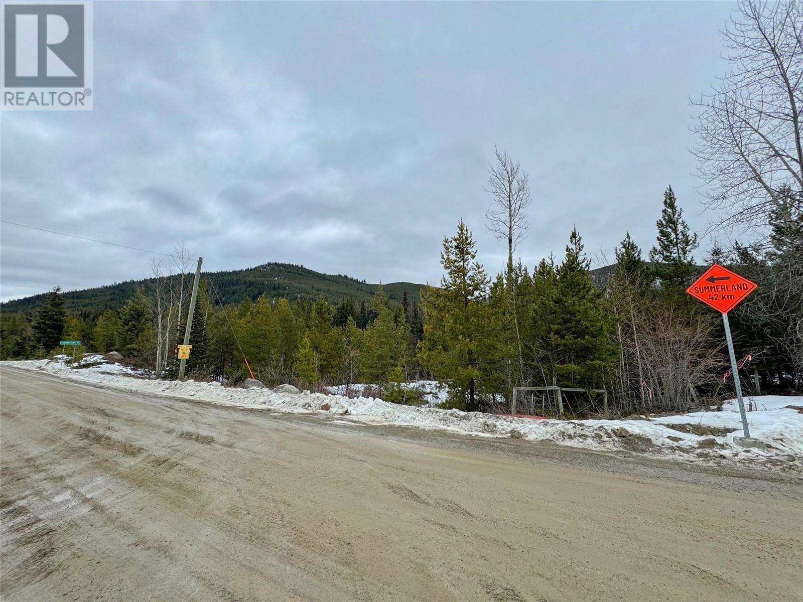 Lot 4 PRINCETON SUMMERLAND Road Princeton Photo 19