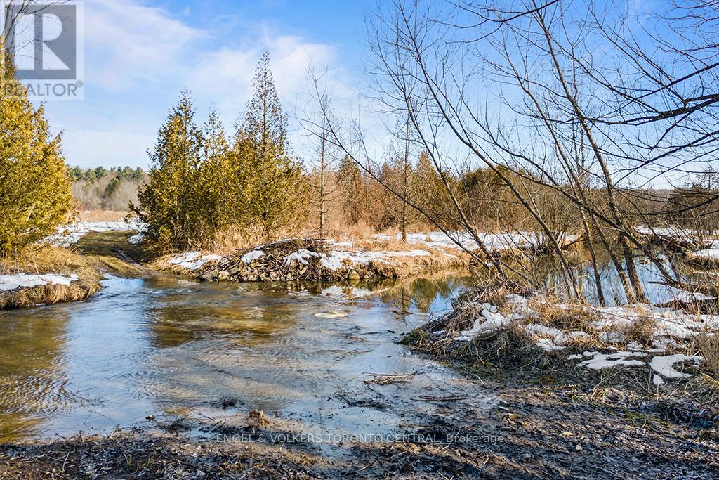 177883 Grey 18 Road, Georgian Bluffs, Ontario  N4K 5N5 - Photo 36 - X8058610