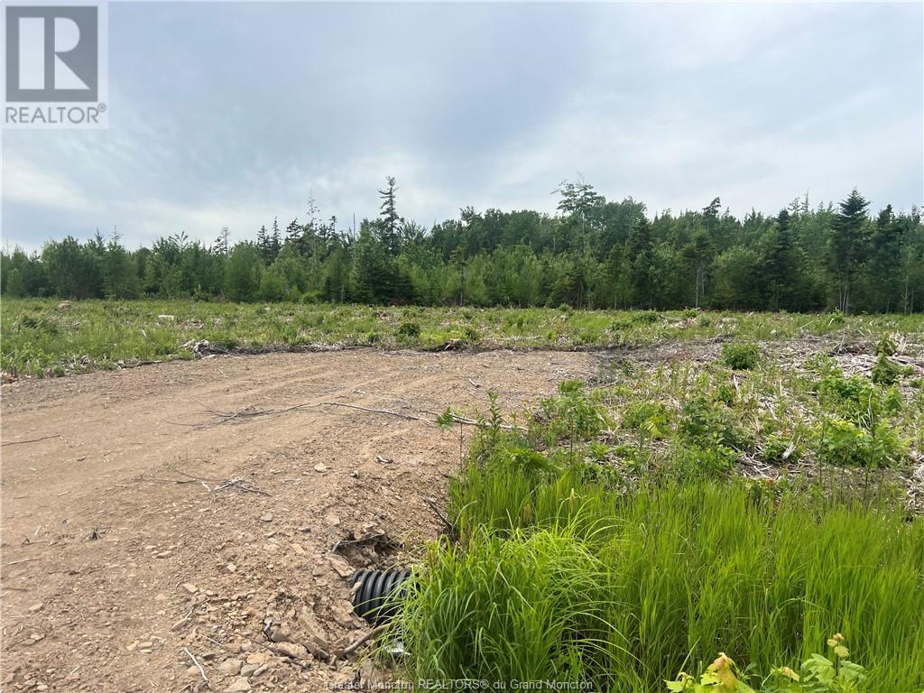 Lot 23-3 Hannay Rd, Galloway, New Brunswick  E4W 2M4 - Photo 2 - M157325