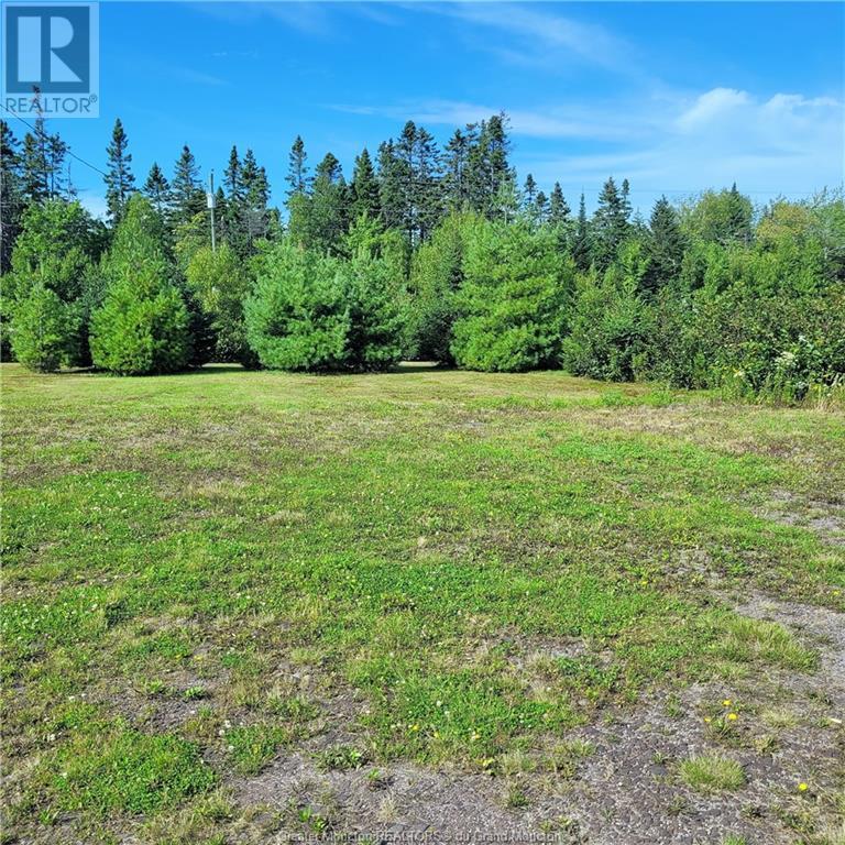 1016 Route 960, Upper Cape, New Brunswick  E4M 2V2 - Photo 19 - M157321