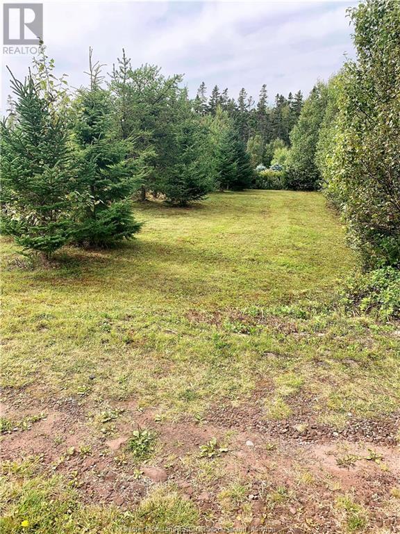 1016 Route 960, Upper Cape, New Brunswick  E4M 2V2 - Photo 15 - M157321