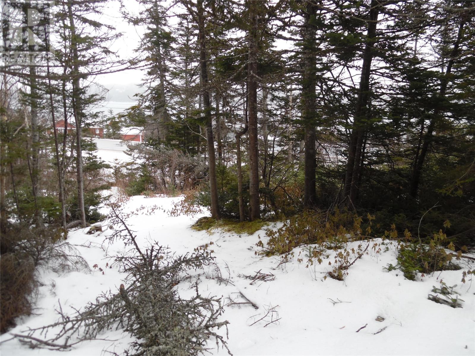 0 Random Island Road, Weybridge, Newfoundland & Labrador  A5A 3A1 - Photo 2 - 1267777